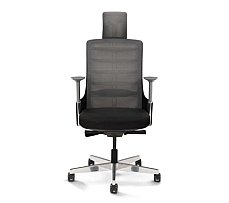 Spinelly Ergonomic Office Chair